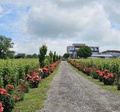image00013.jpeg
