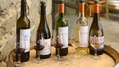 Chateau de Paraza, Wine tasting.jpg