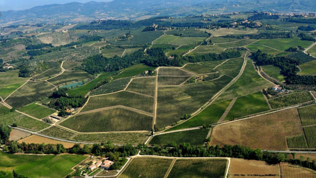 Conte Guicciardini Di Ferdinando Guicciardini - Castello Di Poppiano vineyards.jpg