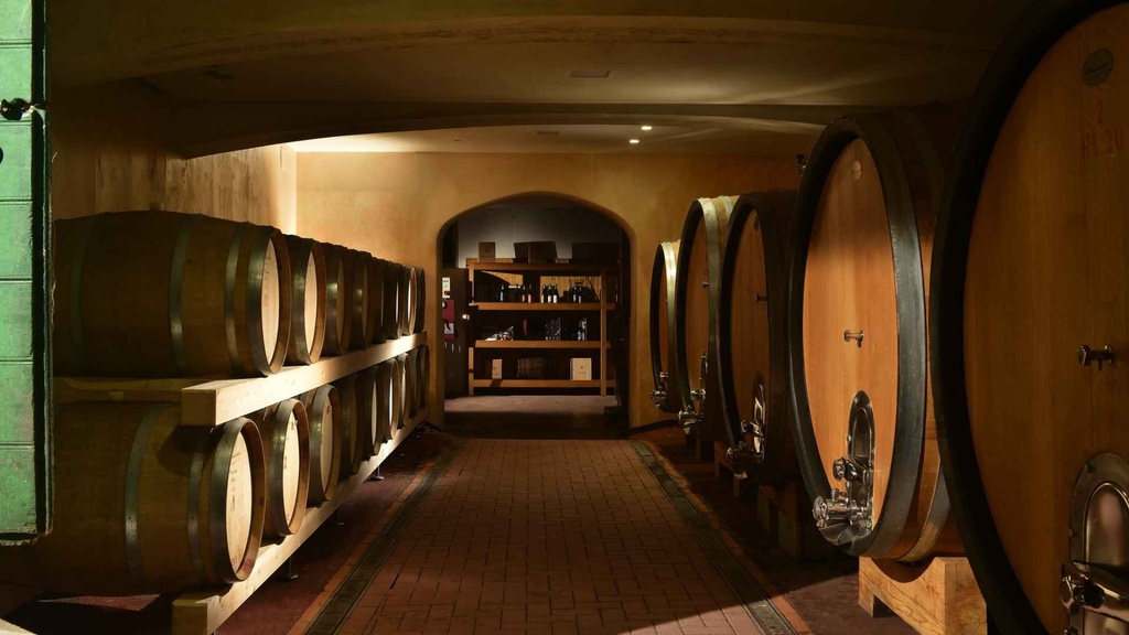 Azienda Agricola Mizzon, wine cellar.jpg