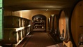 Azienda Agricola Mizzon, wine cellar.jpg
