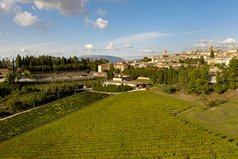 Cantina Fratelli Pardi