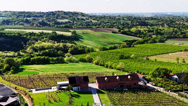 Djurdjic Winery