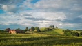 jungic-winery-vineyards.jpg