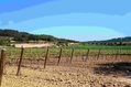 DSC05546BR copia.jpg