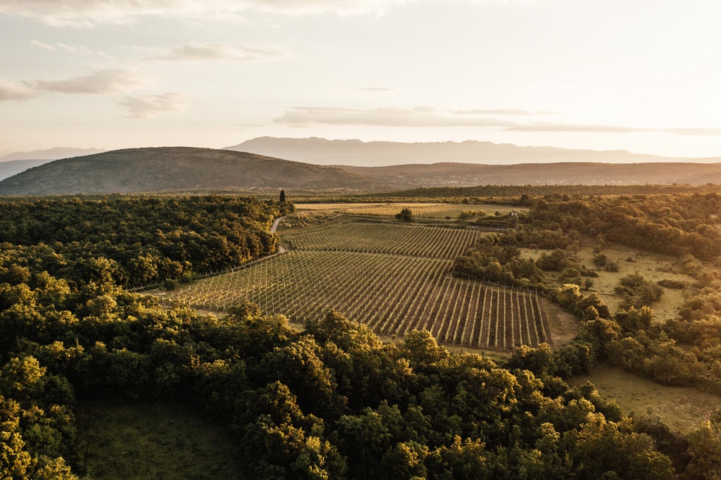 Domanica Winery